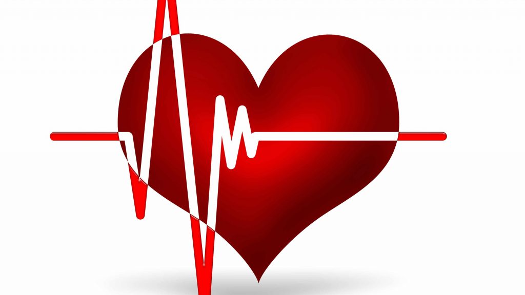 Gráfico de un corazón y su actividad en el electrocardiograma