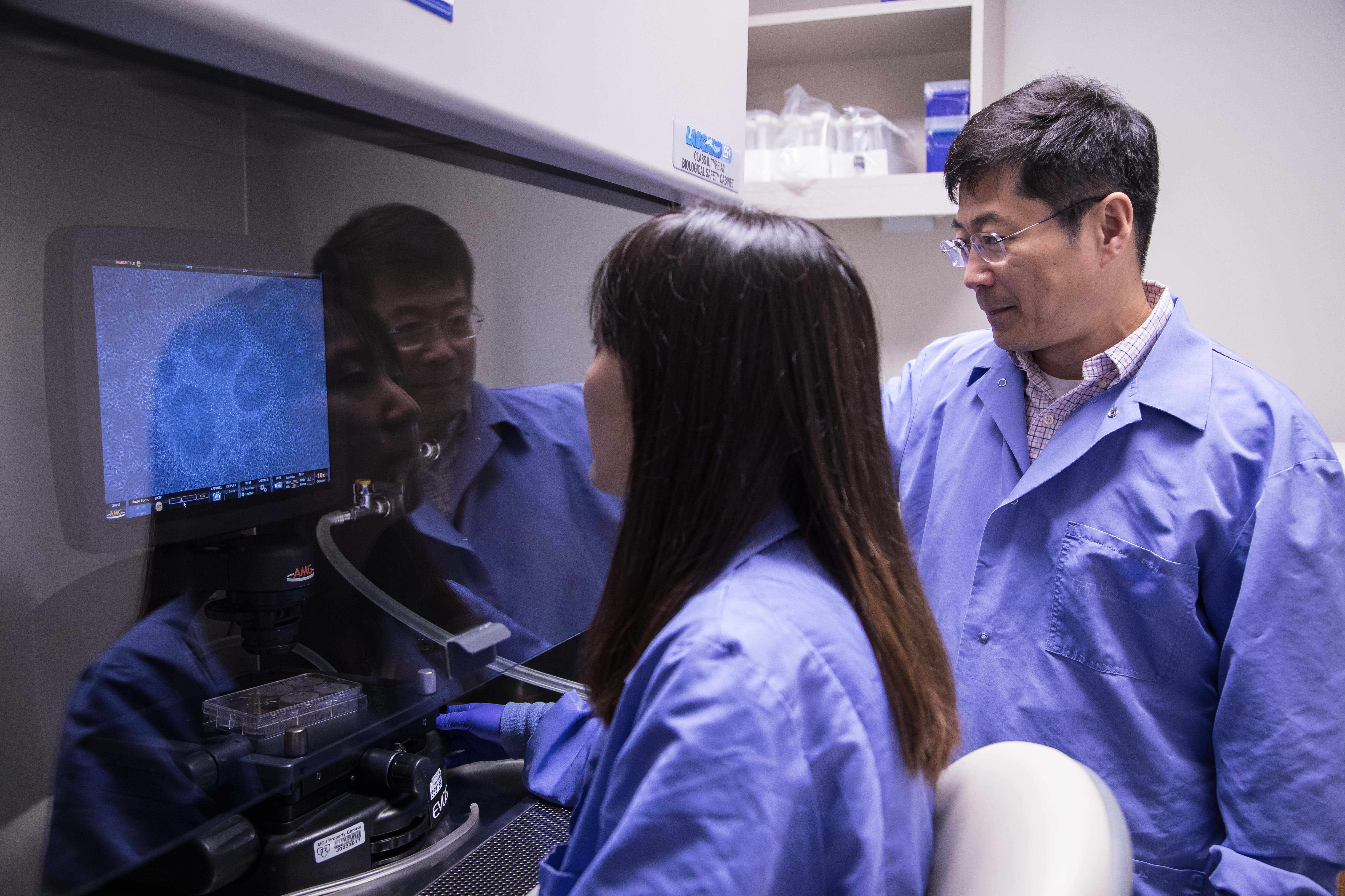 Dr. Bu and one of his associates reviews stem cells in the new neurodegenerative lab on Florida's campus.