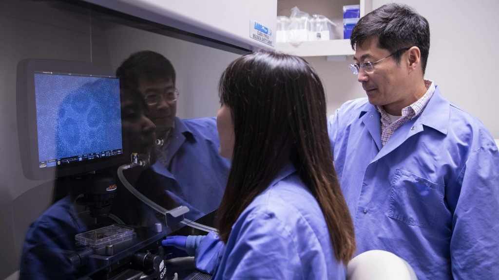 Dr. Guojun Bu y colega en el laboratorio de investigación