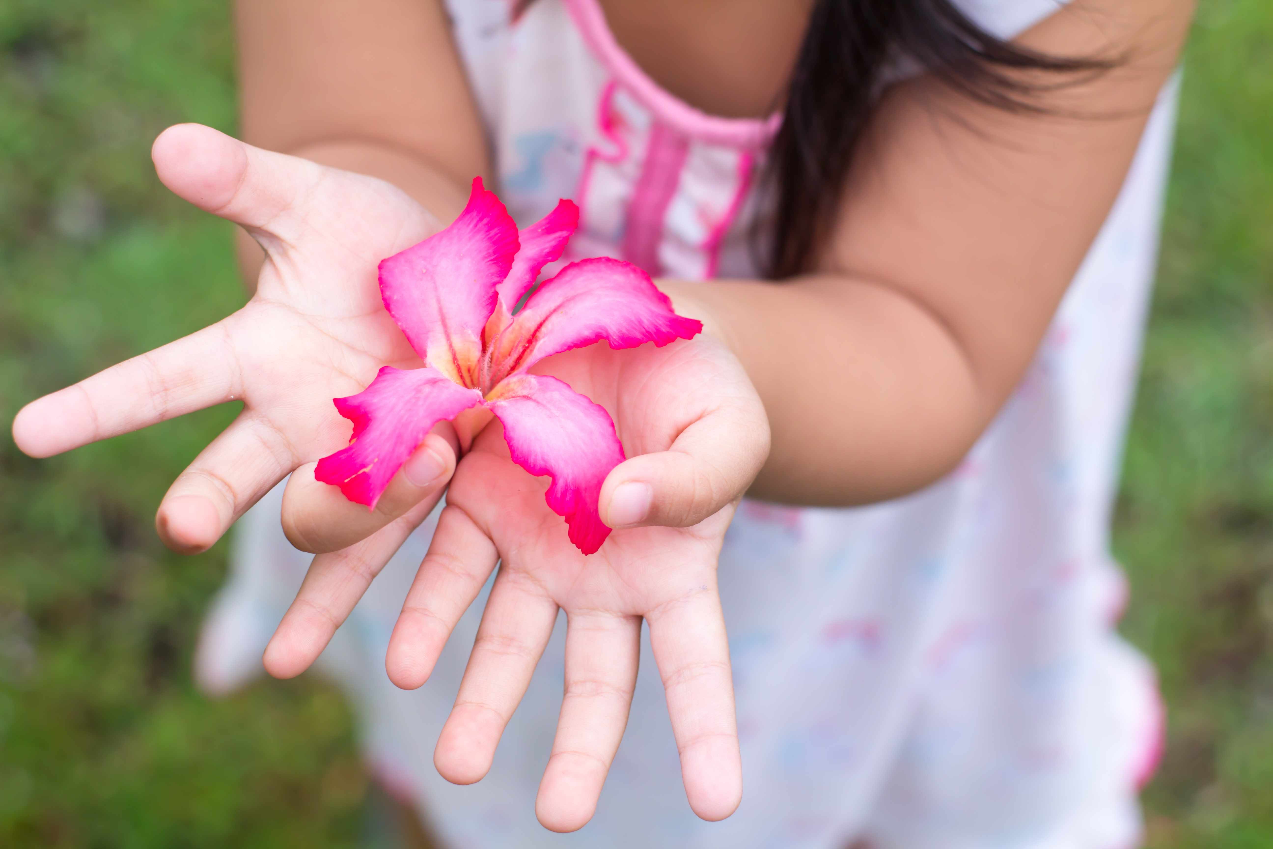 a young girl gently holding a bright pink flower in her hands and offering it like a gift