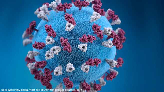Discovery's Edge CDC image of the measles virus
