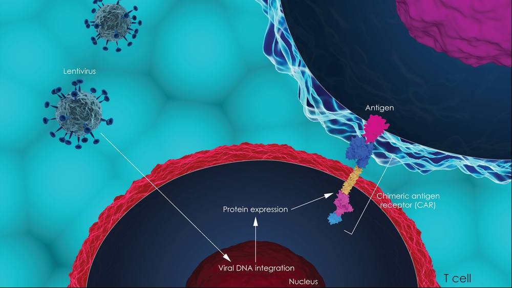 Ilustración tridimensional de la terapia de células T con receptor de antígeno quimérico