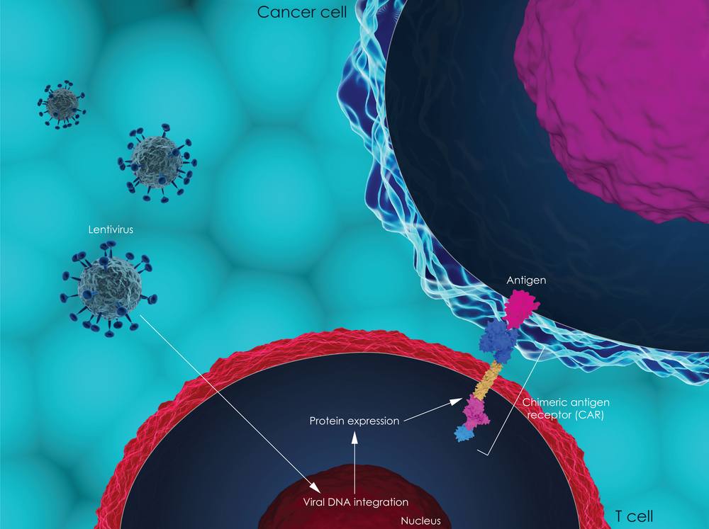 3D illustration of CAR T-cell therapy
