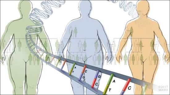 Ilustración médica de la relación entre la genética y la obesidad