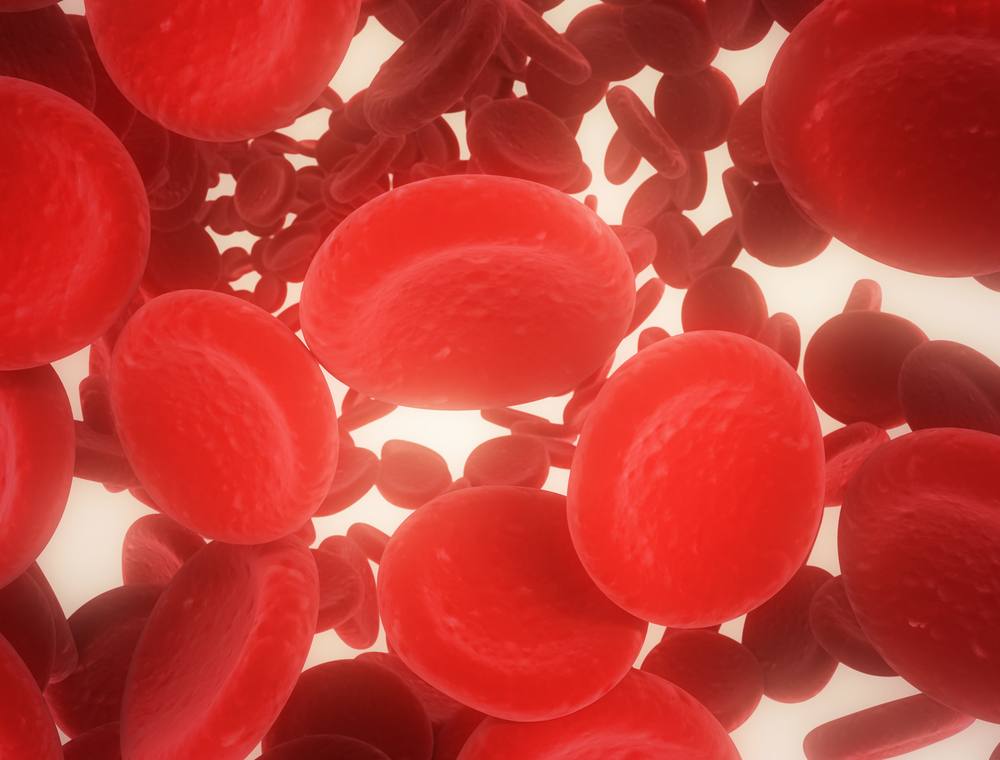 illustration of red blood cells