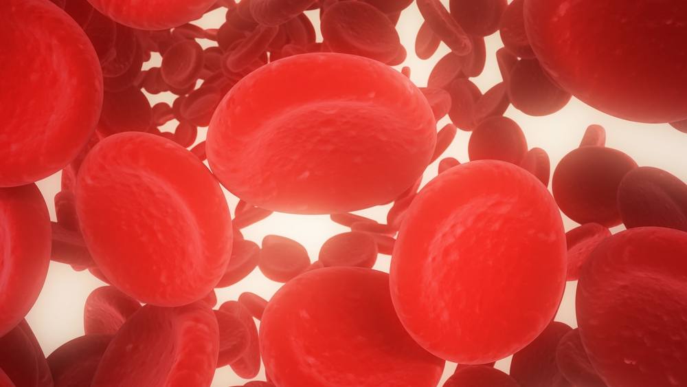 Ilustración médica de los glóbulos rojos