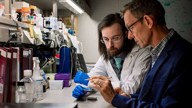 Dr. Jan van Deursen in the lab working with his graduate student