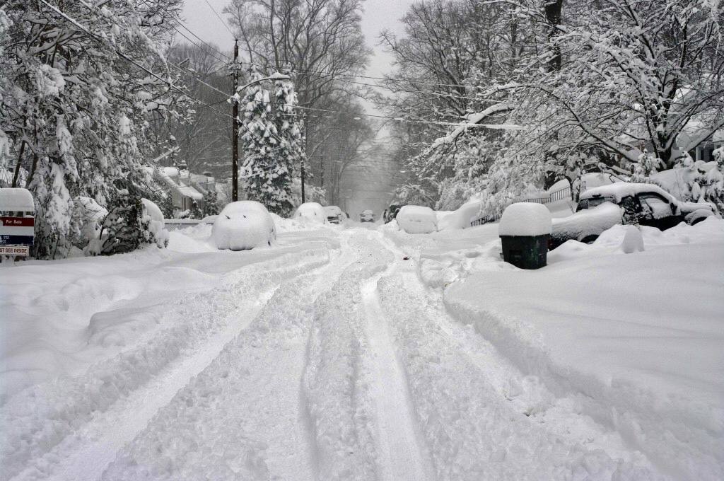 winter scene of a neighborhood after a snowstorm with trees and cars covered in snow