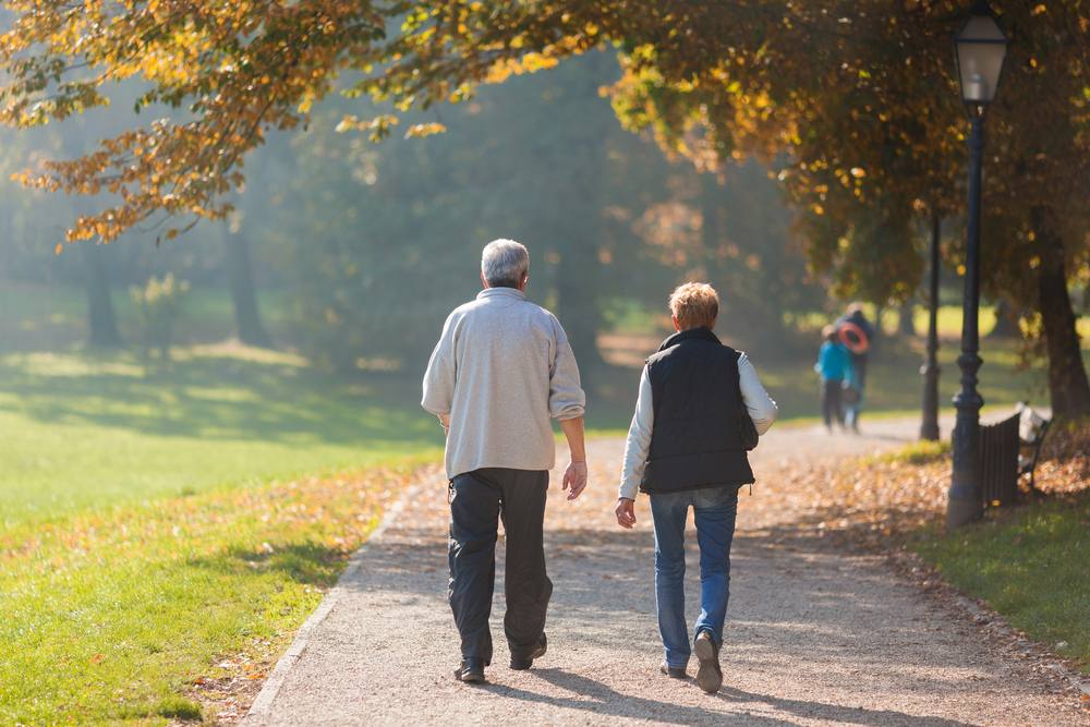 Senior citizen couple taking a walk in a park during autumn morning