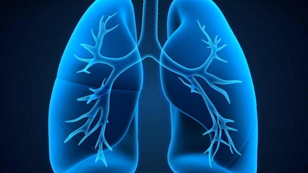 una ilustración médica de los pulmones