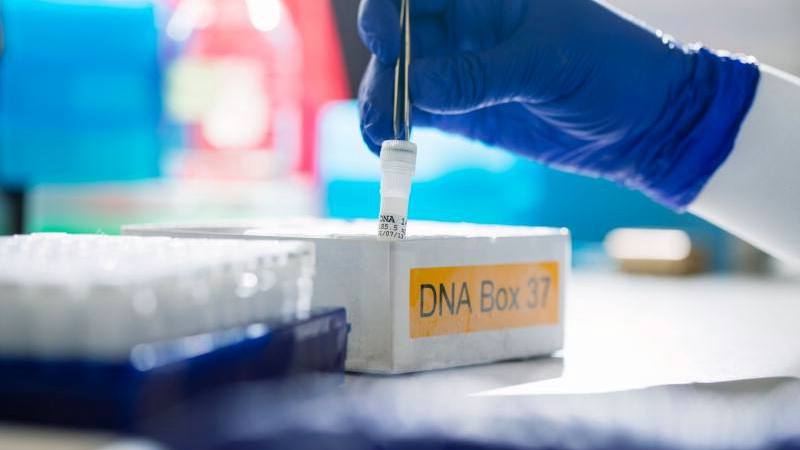 Mano de un investigador del laboratorio cubierta con un guante azul para trabajar con tubos de ensayo de ADN
