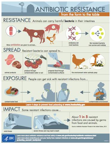 animals can carry harmful bacteria in their intestines