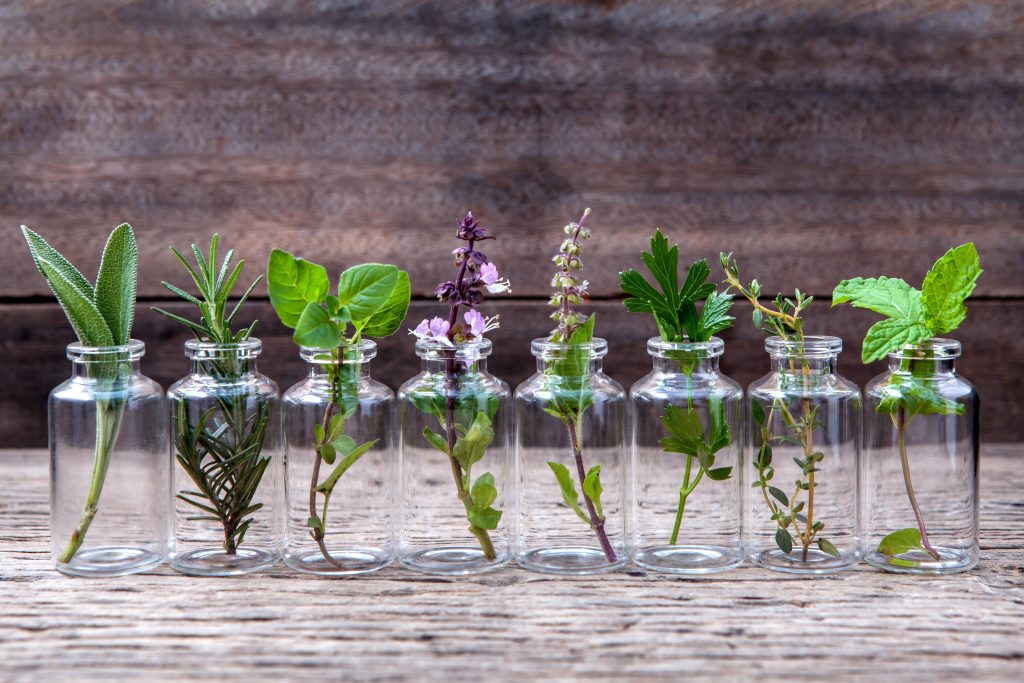 a row of small, clear glass bottles on a wooden surface, with a sprig of an herb or plant in each