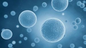 Mayo Clinic discovery is first step toward new bacteria-based ...