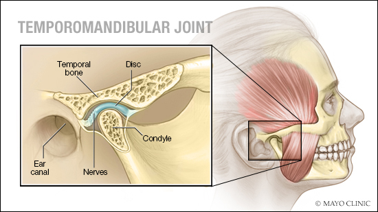 Ilustración médica de la articulación temporomandibular