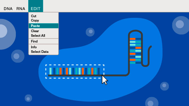 graphic of the CRISPR image