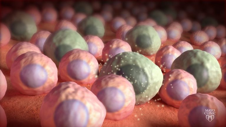 Kill A Cell Drugs that kill