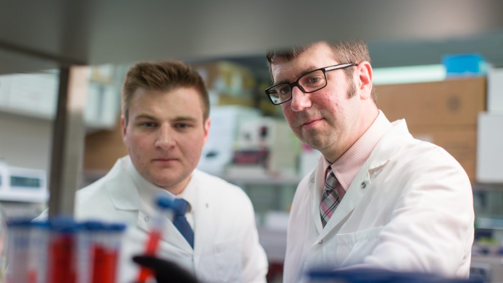 El Dr. Darren Baker, biólogo molecular de Mayo Clinic, (derecha) y Tyler Bussianestudiante de la Escuela de Posgrado en Ciencias Biomédicas de Mayo Clinic (izquierda)