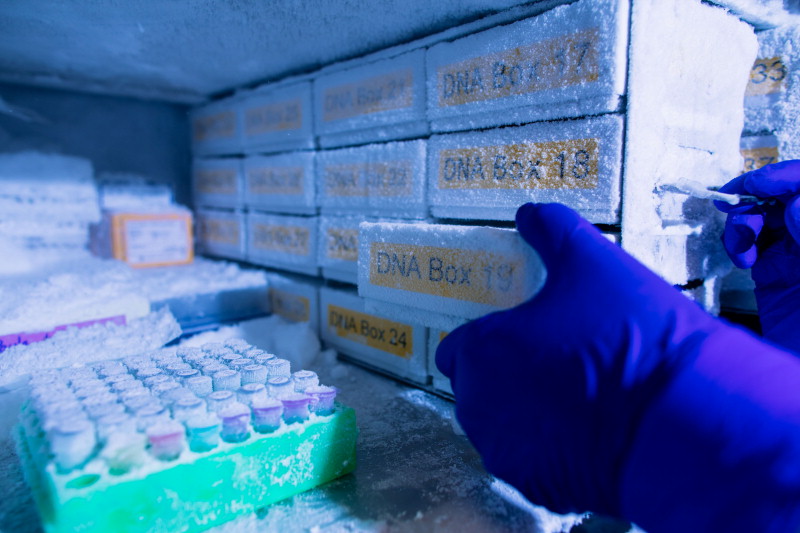 frozen DNA test tubes