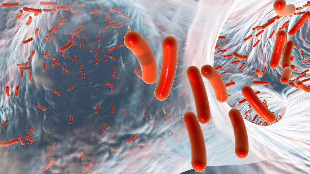 Biopelícula de bacterias resistentes al antibiótico