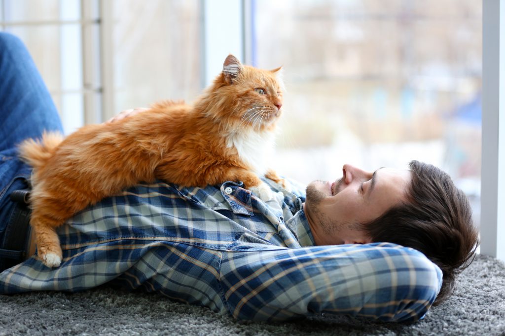 a smiling young man lying on his back on the floor, with a big fluffy cat on his chest