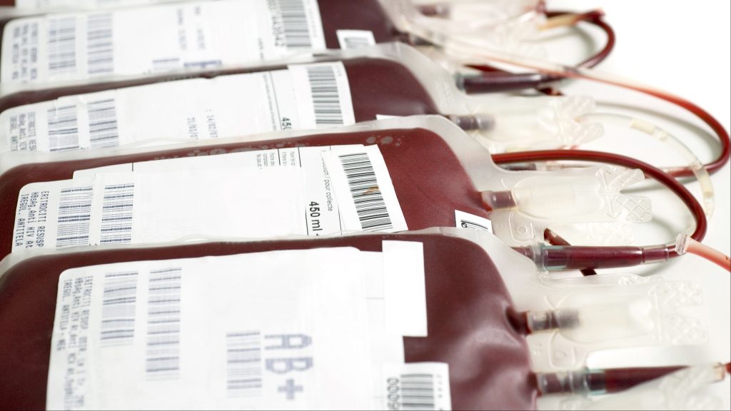several sterile bags of donated blood placed on a table next to each other