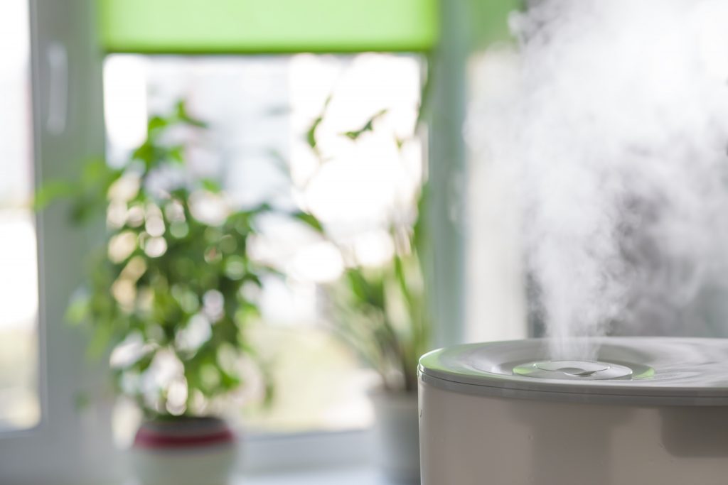 vapor from a humidifier in a bright living room with a window and plants in the background