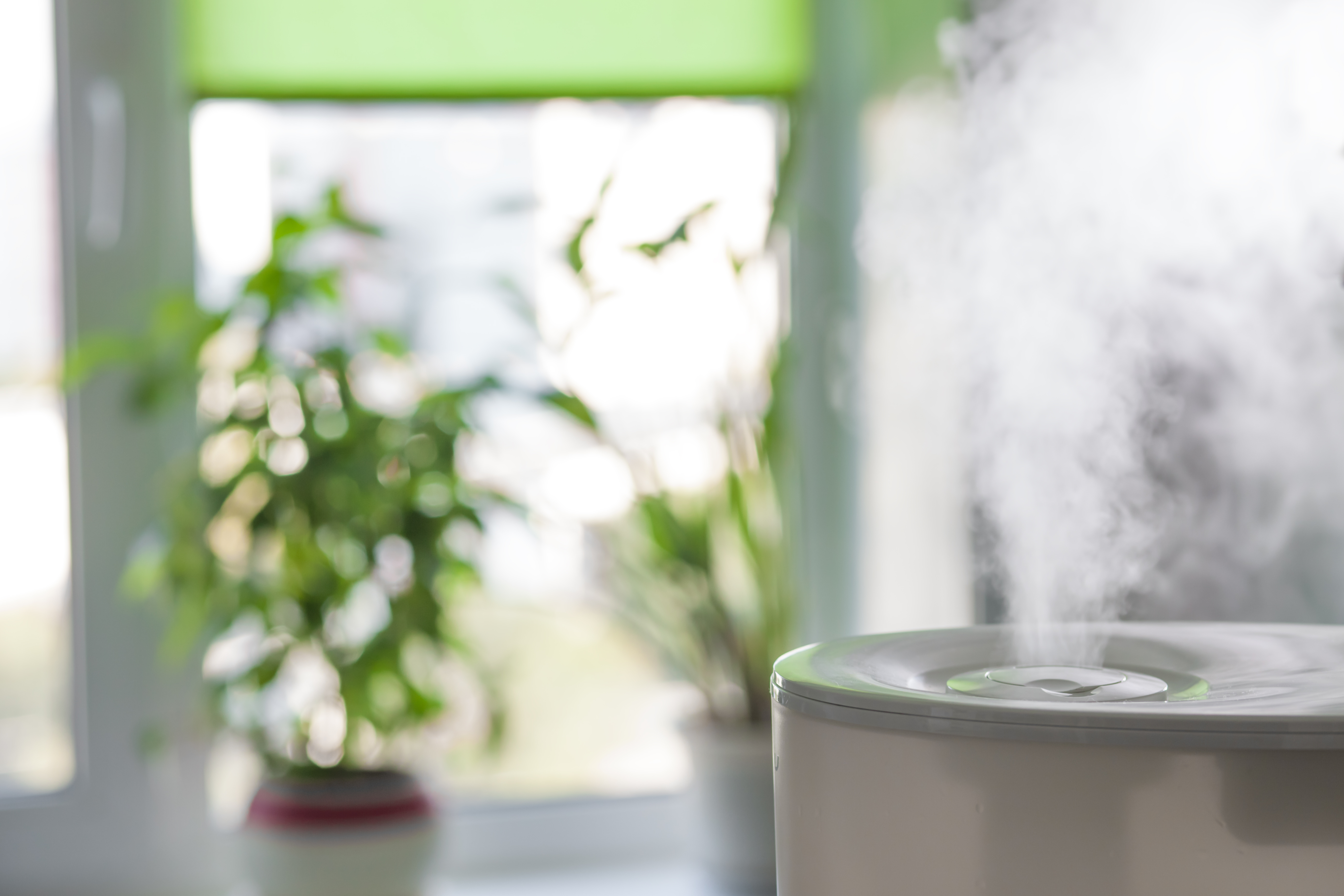 Воздух очищается согревается. Увлажнитель воздуха genau. Увлажнитель воздуха Humidifier. Увлажнитель воздуха для растений. Увлажнение воздуха в квартире.