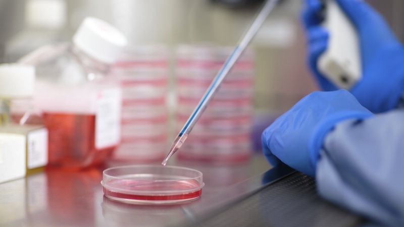 Laboratorio del Centro para Medicina Regenerativa, donde un investigador pone unas gotas dentro de una placa de Petri.