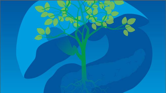illustration of a green leafy tree with a blue background that has an abstract drawing of a liver