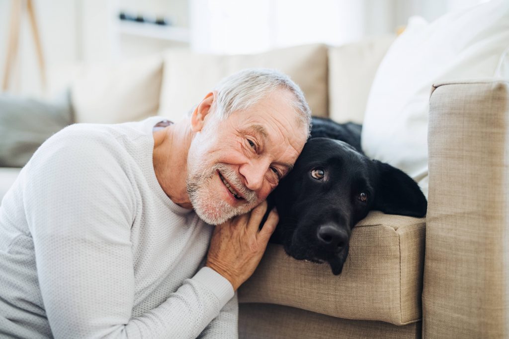 a smiling older man leaning on a large dog on a couch