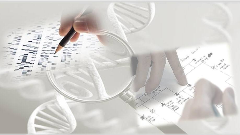 Collage de imágenes que representan pruebas genéticas