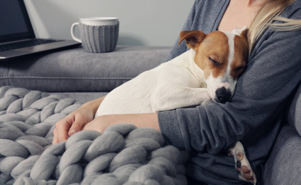 a young woman snuggled up on the couch with a warm blanket, a sleeping dog, and cup of coffee, tea or hot chocolate