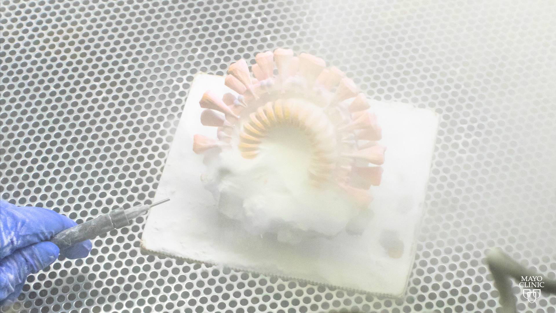 3D Anatomic Modeling Lab prints model of virus that causes COVID-19 ...