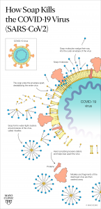 COVID-19 expert explains what soap does to SARS-CoV-2 virus - Mayo ...