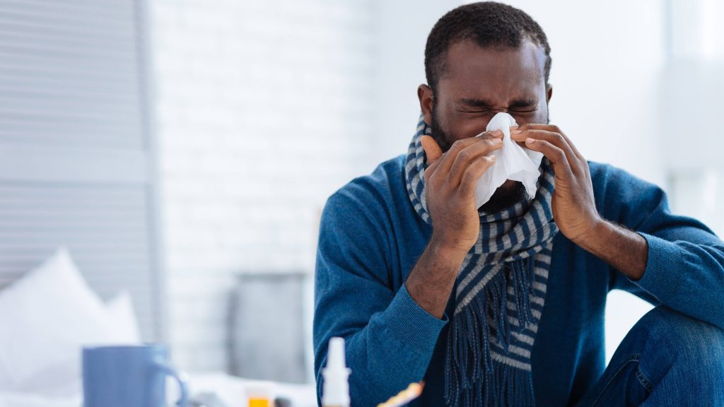 An African American man in blue jeans and a blue sweater blowing his nose into a tissue or sneezing, feeling sick with a cold, allergies or a flu bug