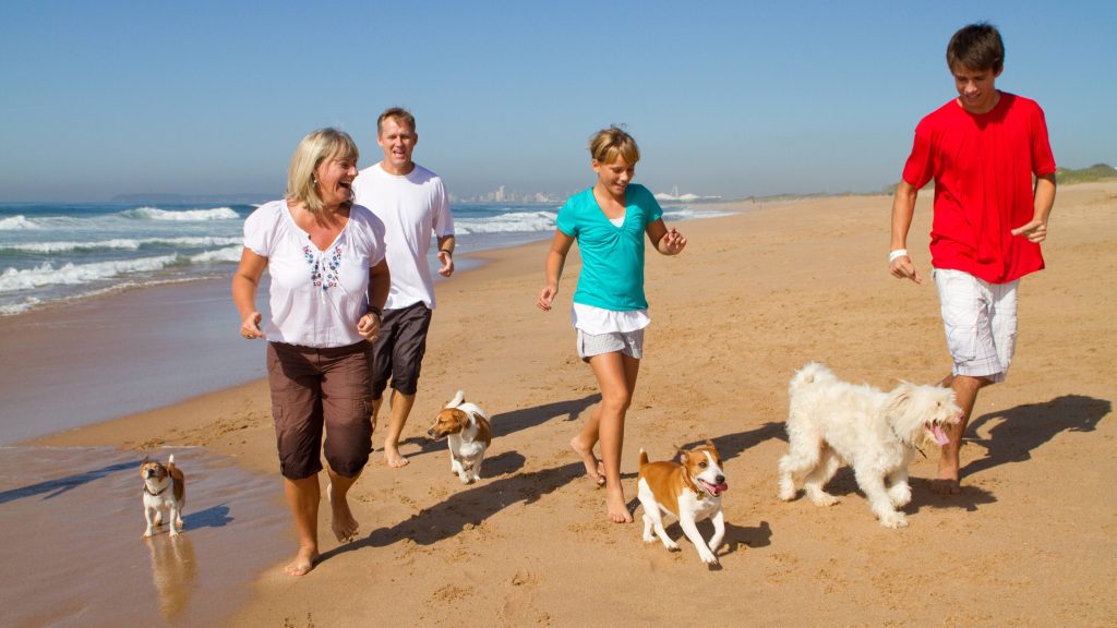 a group of Caucasian people, perhaps a family, walking on the beach in the sunshine with their dogs