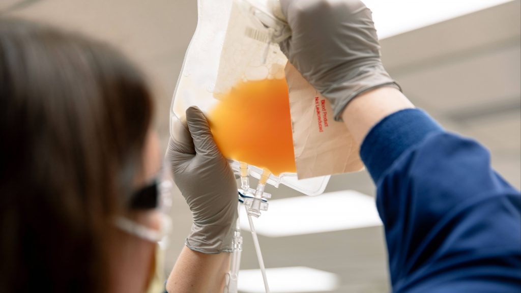 a health care worker wearing medical gloves in a lab and holding a clear bag of golden yellow plasma for COVID-19 research