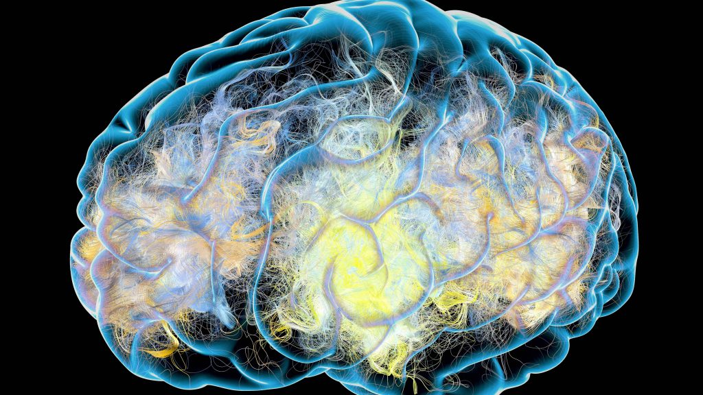 Imagen 3D que ilustra las conexiones sinapsis en el cerebro.
