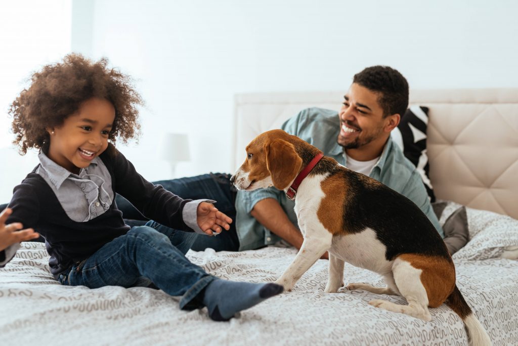 a Black father and young daughter on a bed, laughing and playing with the family dog
