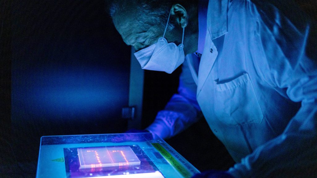 Researcher Michael Barry, Ph.D., in a lab looking at cut pieces of DNA in a blue light to see if they are the correct size of the viral genes the team wants to use.
