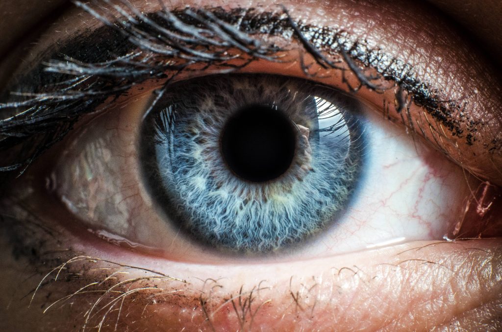close up of a person's blue eye and eyelashes