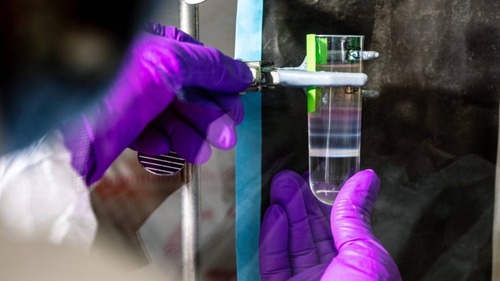 close up of Mayo Clinic Laboratories research hands with purple gloves holding a beaker and measuring a liquid