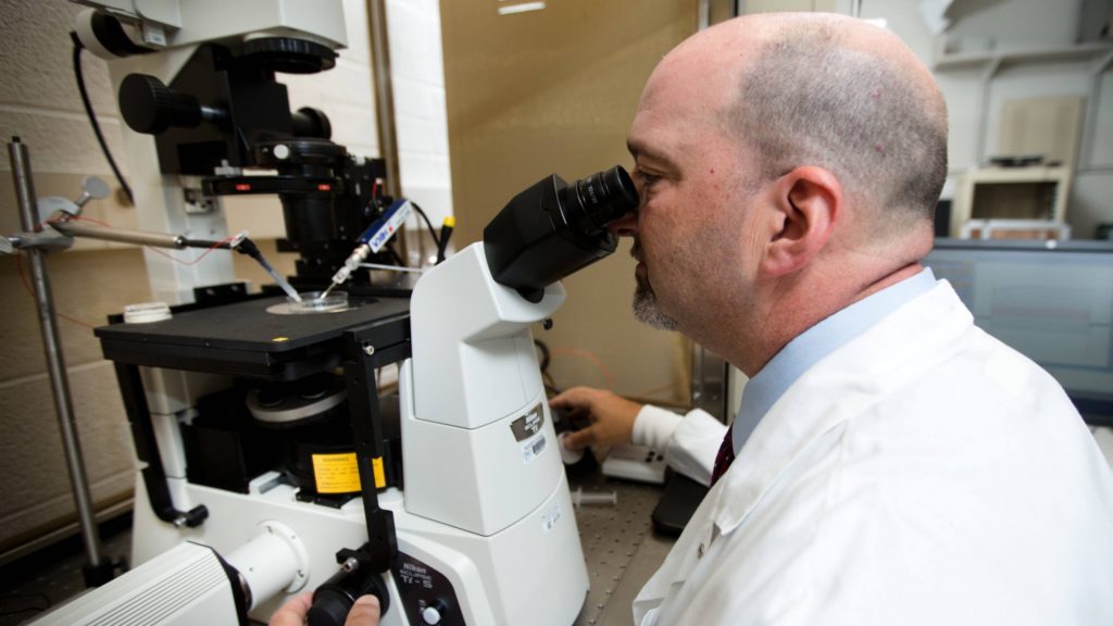 Alan Marmorstein, PhD a researcher looking through a microscope in a laboratory