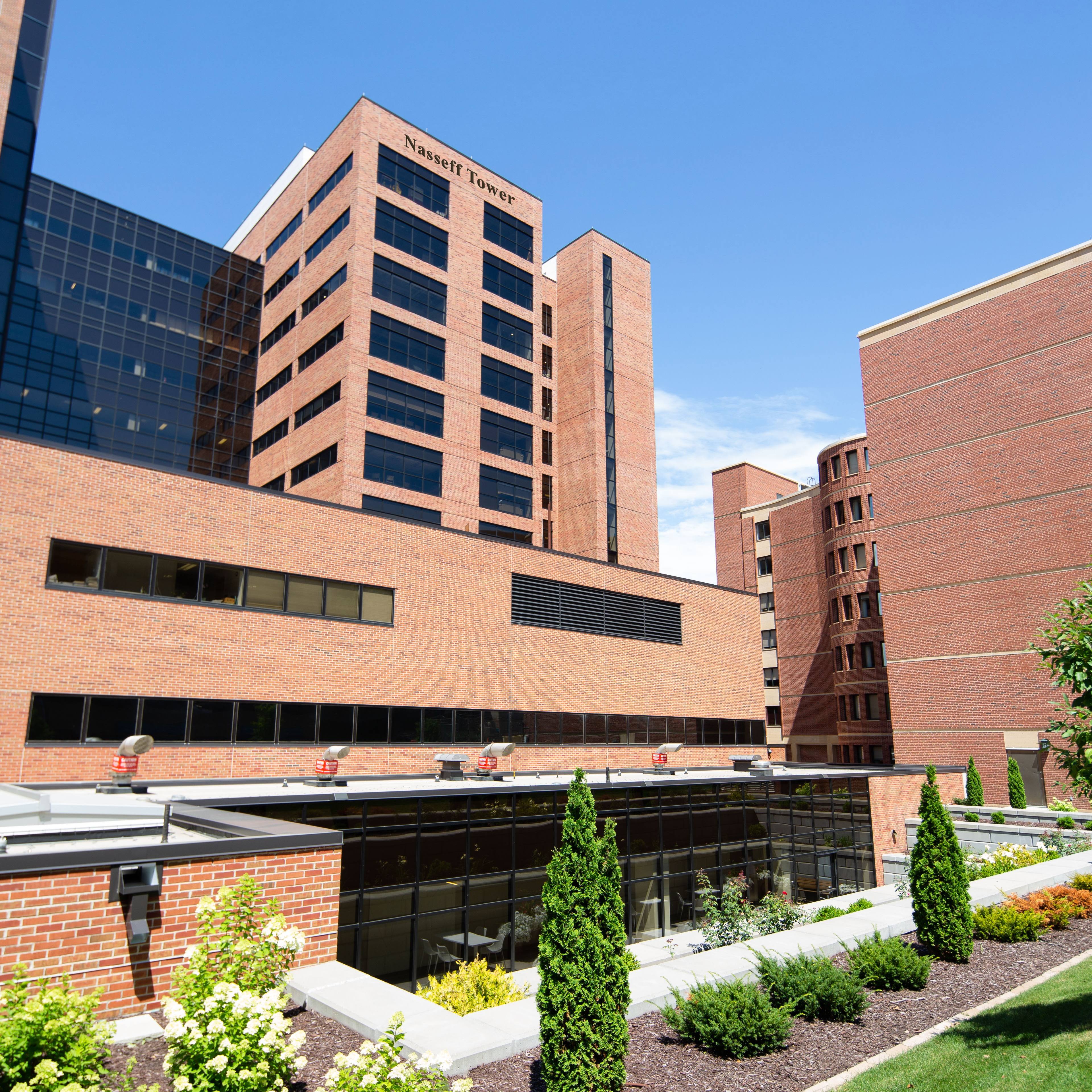 $60 million gift to Mayo Clinic will accelerate efforts to transform health  care delivery in Minnesota - Mayo Clinic News Network