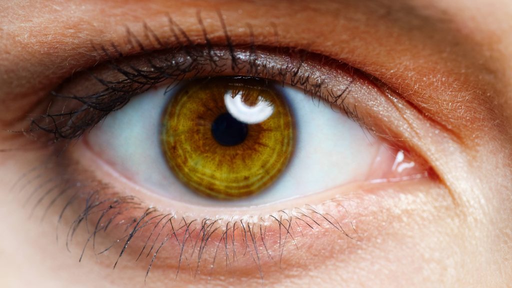 close -up of a person's brown eye