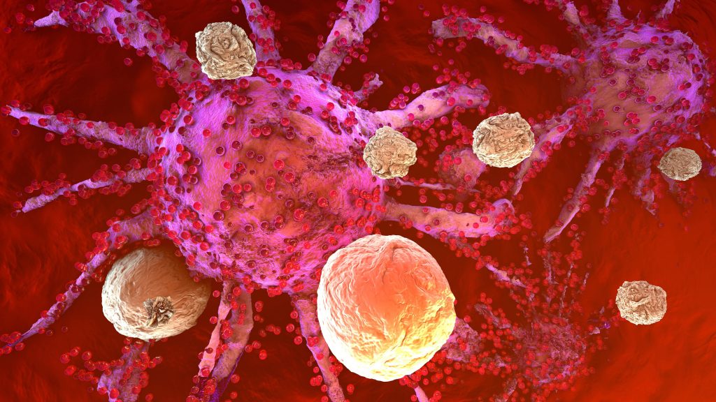 3D rendered illustration of T-cells of the immune system attacking growing cancer cells
