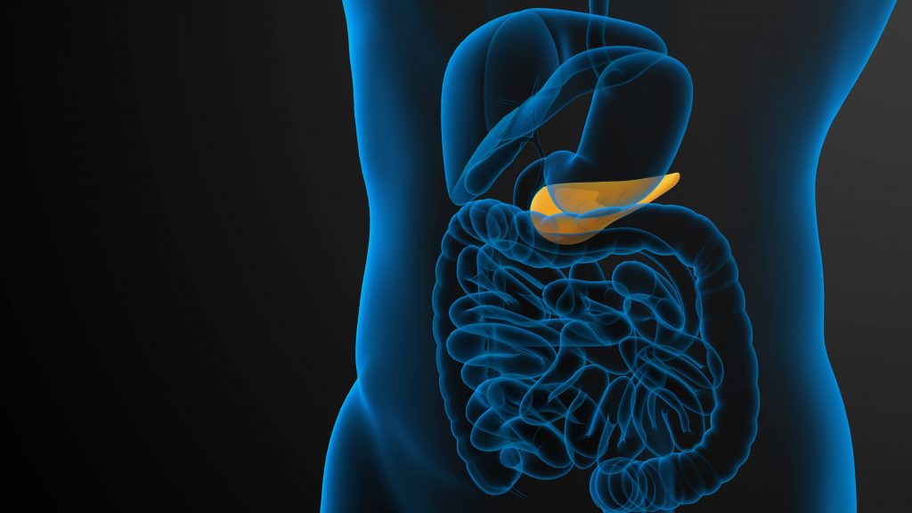 Ilustración de un torso humano con el páncreas resaltado