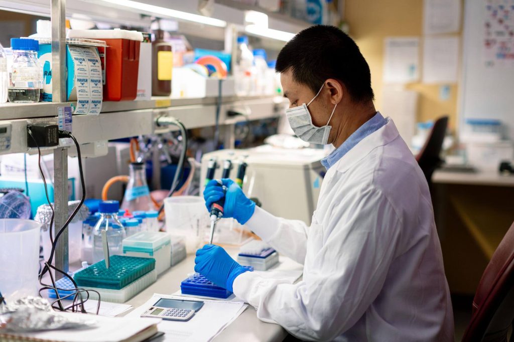 Male researcher pipetting genetic samples for testing