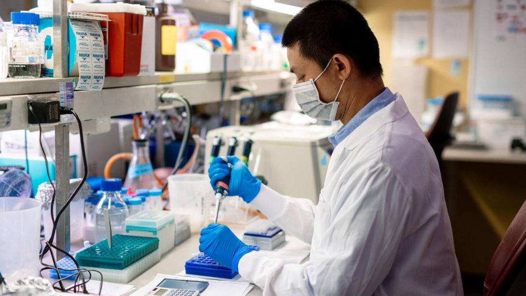 Investigador masculino pipeteando muestras genéticas para su análisis